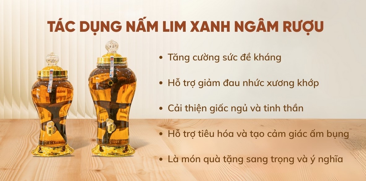 tác dụng nấm lim xanh ngâm rượu